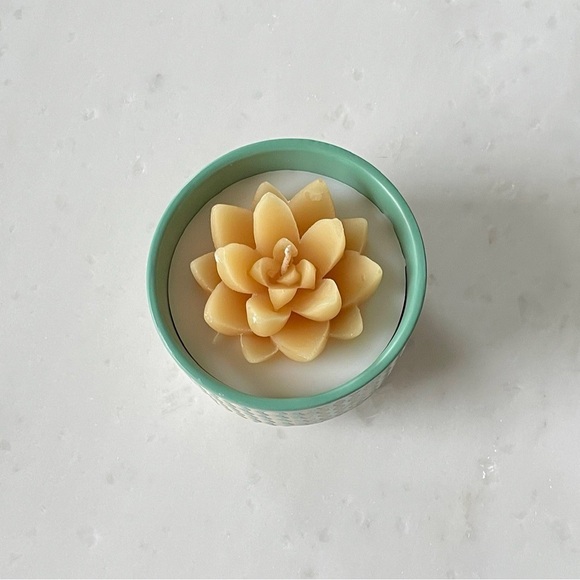 Peppermint Cactus Candle - Picture 2 of 6